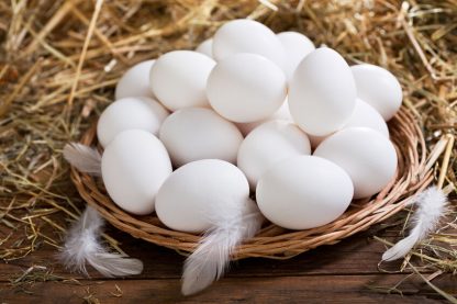 White Leghorn Eggs