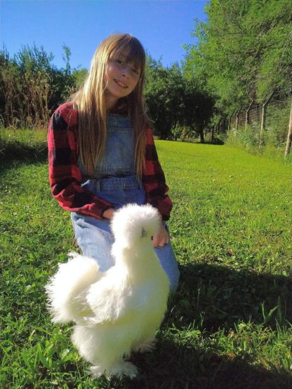 White Silkie