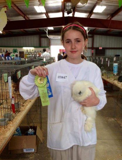 White Silkie Bantam