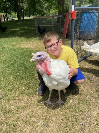 White Turkey Credit: Denise King