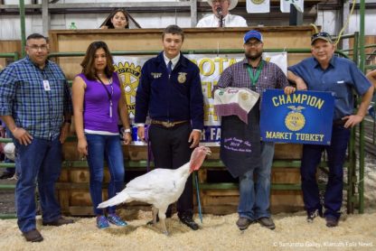 White Turkey Credit: Ezekiel Gillette