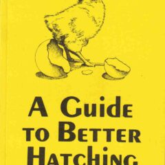 A Guide to Better Hatching by Janet Stromberg