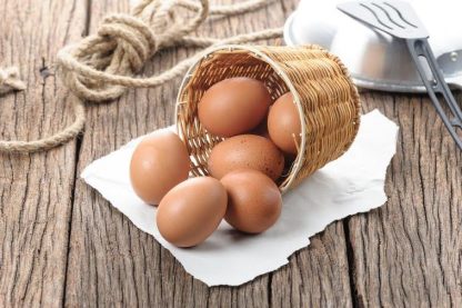 Barnevelder Eggs
