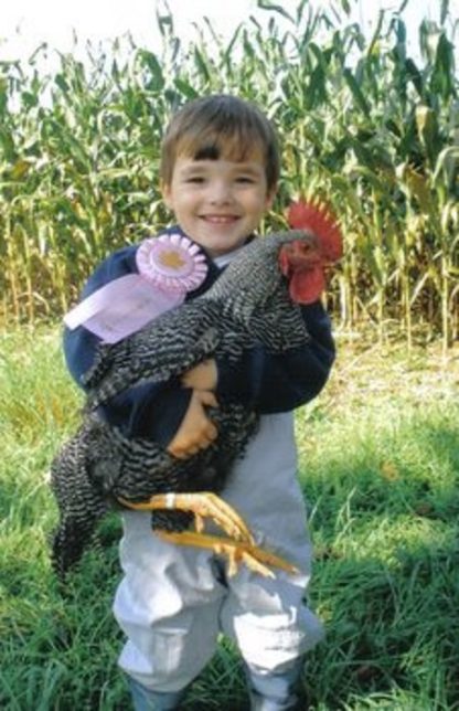 Bayne, age 3, holding his Barred Plymouth Rock Chicken Rooster, he took 1st and Best in Show Reserve at the Luzerne County Fair 2009. Thank you Cackle Hatchery®! Ashley, Hunlock Creek, PA.