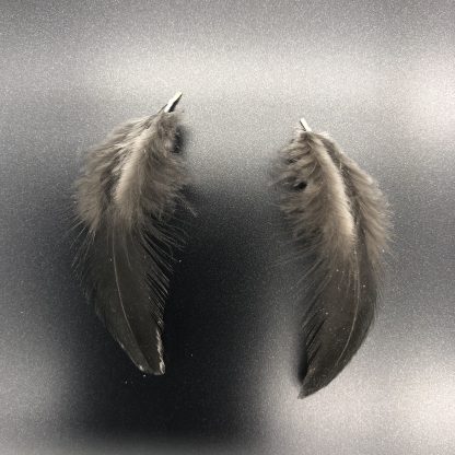 Birchen Cochin Bantam Feathers