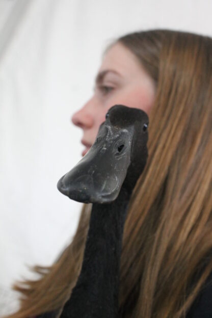 black runner duck
