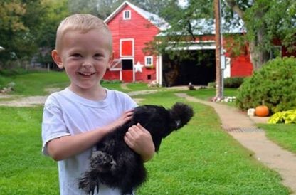 Black Silkie Bantam