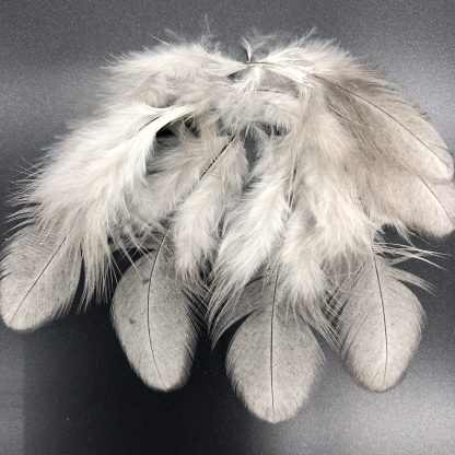Blue Polish Chicken Feathers