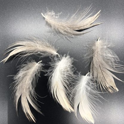 Bue Swedish Duck Feathers