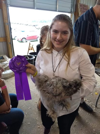 Blue Silkie Bantam