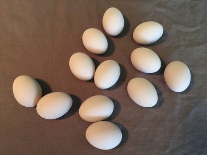 1 Dozen of White Ceramic Eggs-2881
