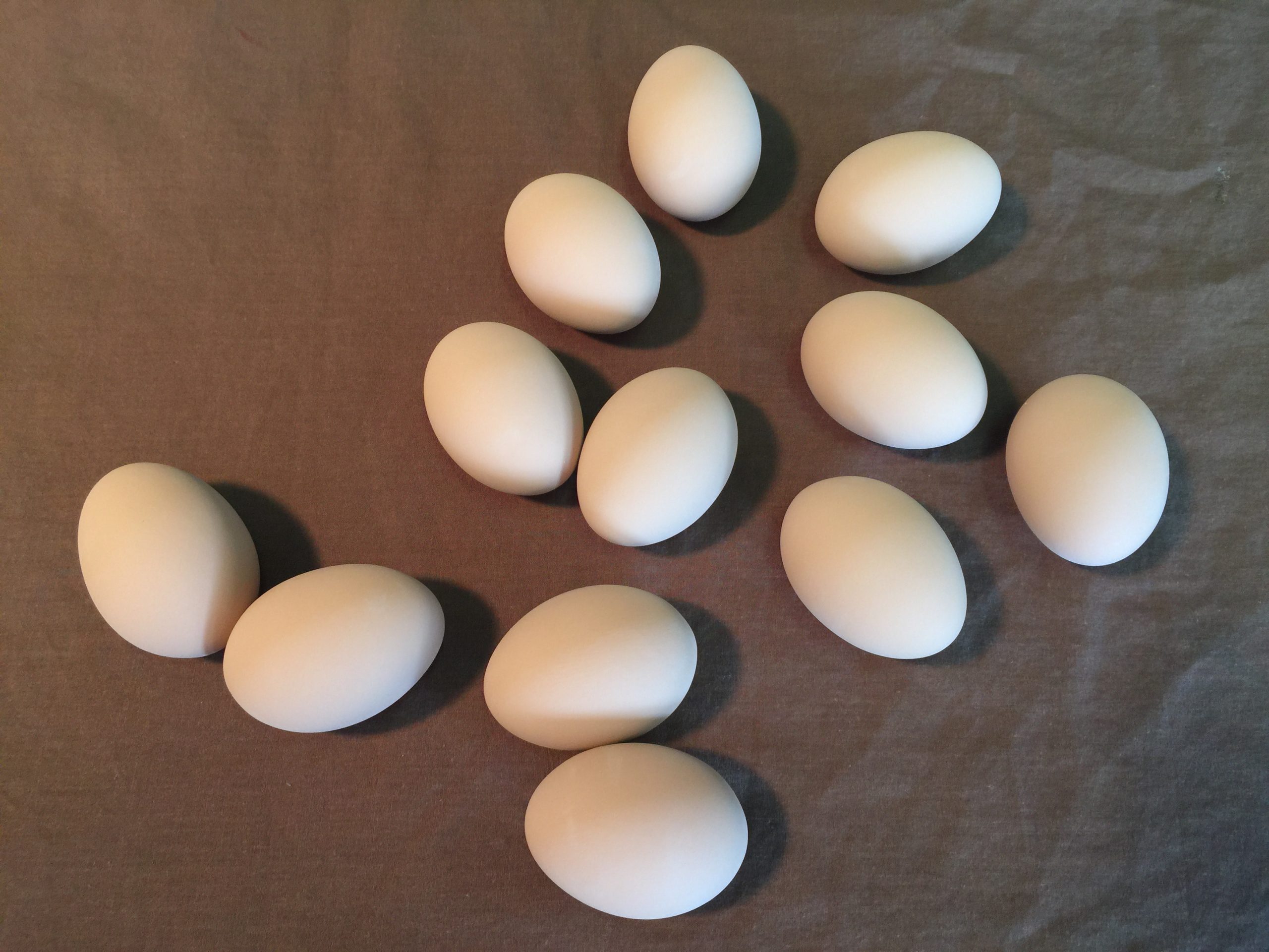 What to Do with Wooden and Ceramic Eggs - Cackle Hatchery