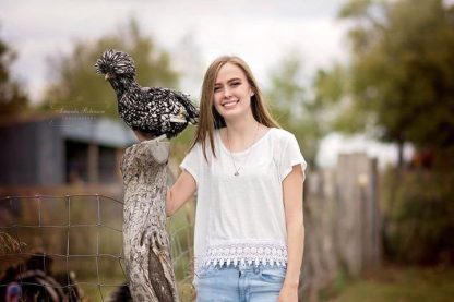 Silver Laced Cochin Standard Chicken