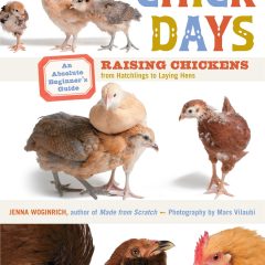Chick Days Raising Chickens from Hatchlings to Laying Hens An Absolute Beginners Guide by Jenna Woginrich