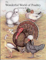 The Wonderful World of Poultry Coloring Book, by Diane Jacky