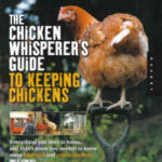 The Chicken Whisperer's Guide to Keeping Chickens by Andy G. Schneider and Dr. Brigid McCrea, Ph.D.