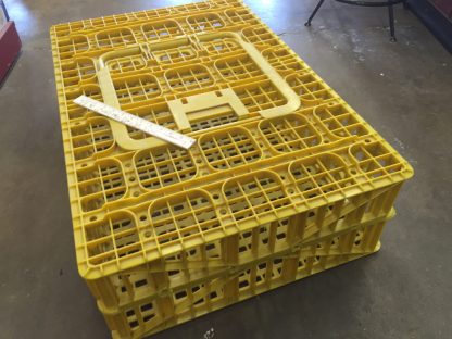 Crate/Coop 12- 1 Yellow Transport Crate/Coop-2887