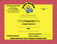 $25.00 Gift Certificate