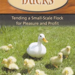 Hobby Farms Ducks, Tending a Small-Scale Flock for Pleasure and Profit by Cherie Langlons