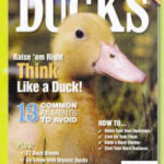 Celebrating America's Favorite Farm Animals Ducks from the Editors of Hobby Farms Magazine-0