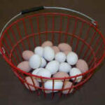 Red Egg Basket