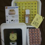 Class Room Incubator