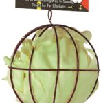Treat Ball - "World's First Toy for Pet Chickens!"