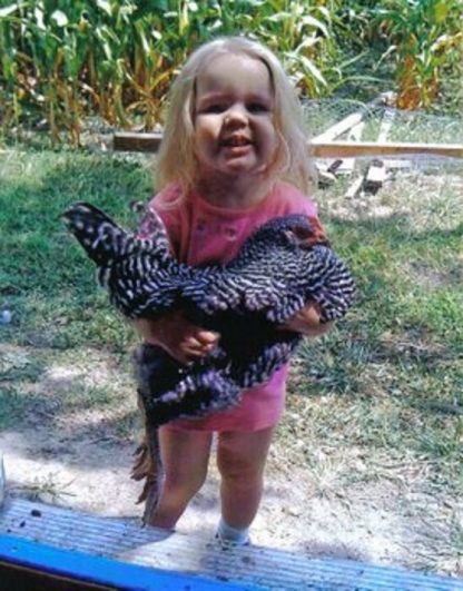 $100 Prize Winner for Funny, Cute, Originality or Artistic Photo, 2010 Photo Contest Winner Thank you Cackle Hatchery®, Our daughter, Holly Jo, holding one of our Barred Rock Pullets we purchased from you in 2010. David & Amy, Il