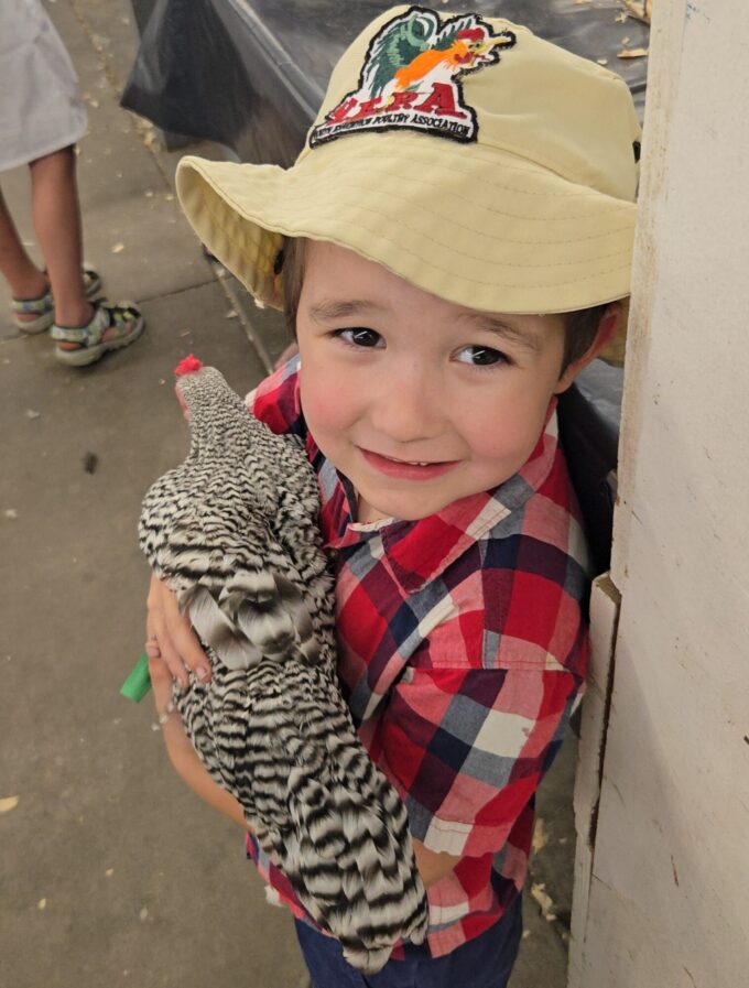 Dominique Bantam - Image 20