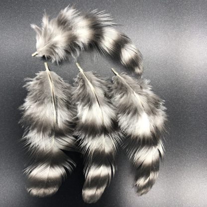 Dominique Feathers