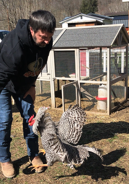 Dominique Chicken Photo by Kristy Slone