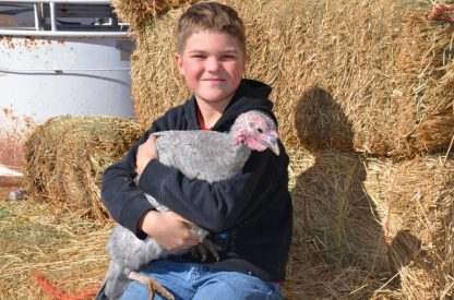 Our Blue Slate Turkey Hen from Cackle Hatchery®, the Thompson Family, Willcox AZ