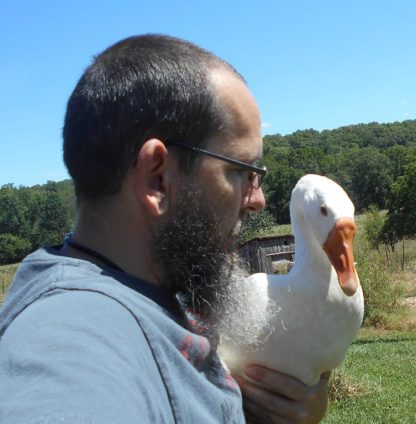 White Chinese Goose