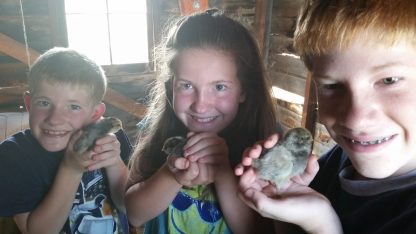 Thank you, Cackle Hatchery® for our baby chicks! You all are great! The Christophersons Fountain, CO