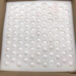 Bobwhite Quail Eggs in Packaging