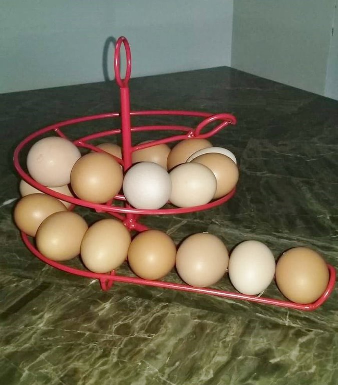 Spiral Countertop Egg Storage Rack