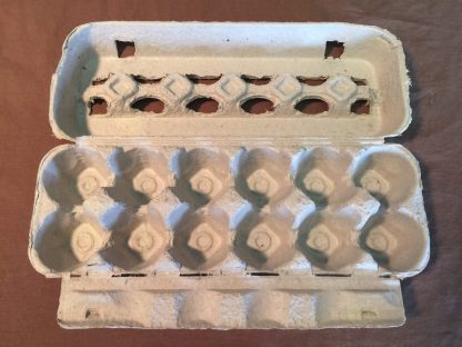 Egg Cartons - 250 count-2916