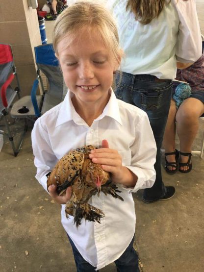 Mille Fleur D'uccle Bantam