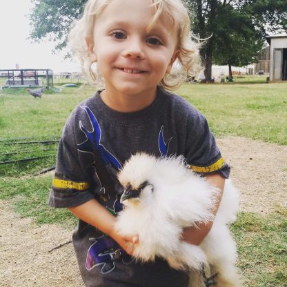 White Silkie Bantam