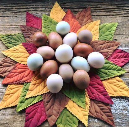 Rainbow Assortment Eggs