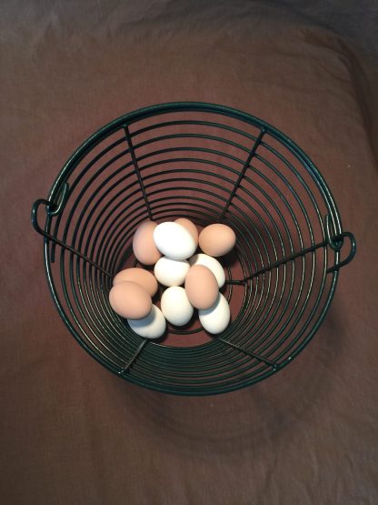 Green Egg Basket