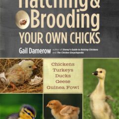 Hatching & Brooding Your Own Chicks by Gail Damerow