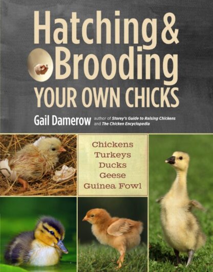 Hatching & Brooding Your Own Chicks by Gail Damerow