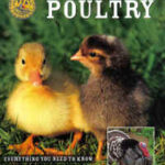 FFA How to Raise Poultry by Christine Heinrichs