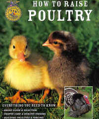 FFA How to Raise Poultry by Christine Heinrichs