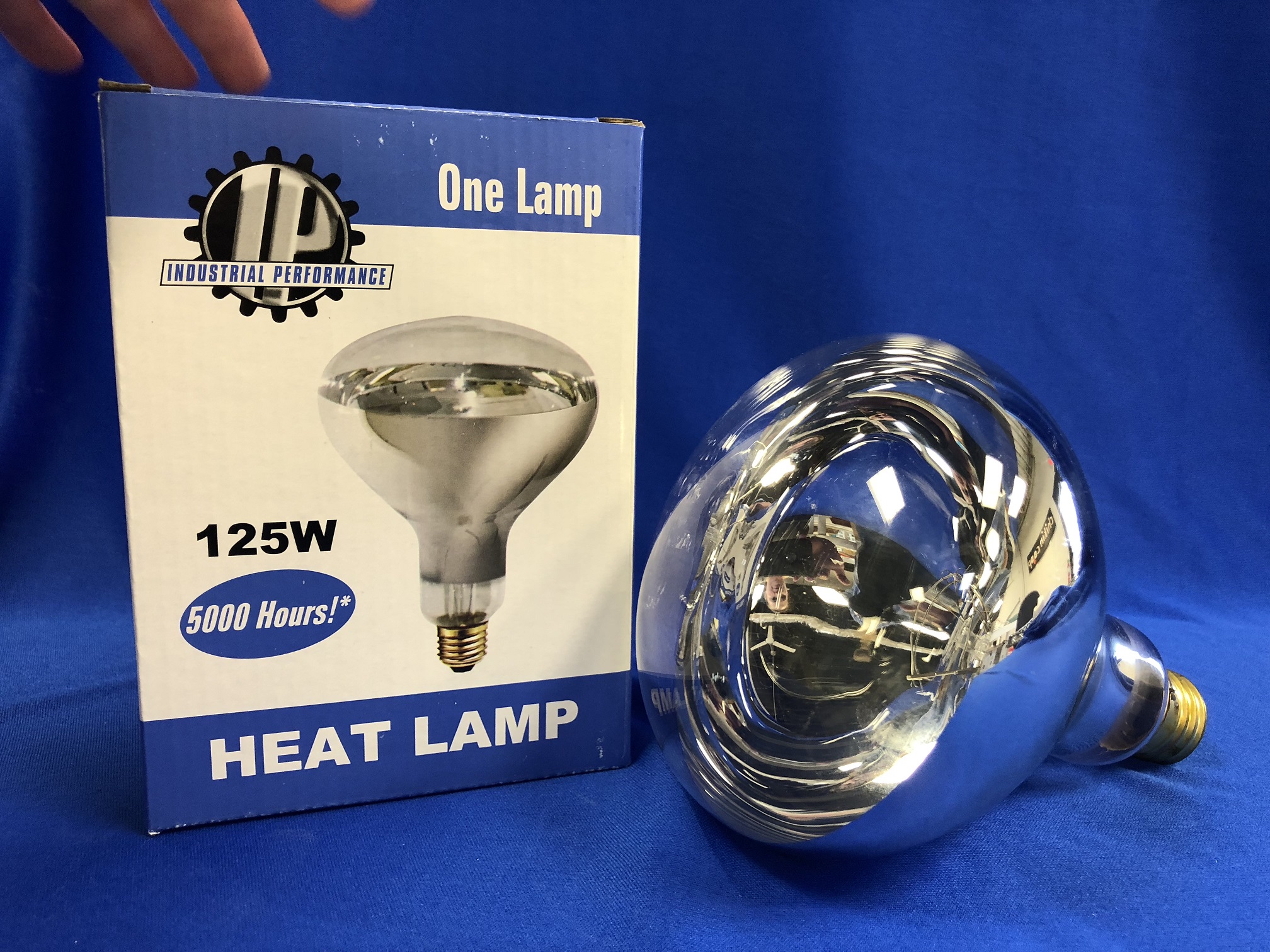 Flood Light Heat Lamp Bulb Bathroom Amphibian Chicks Dog Heating Use E26 Base BONGBADA 2 Pack Heat Lamp Clear Infrared Bulbs PAR38/100 Watts Glass Lamp Bulb for Farm Reptiles