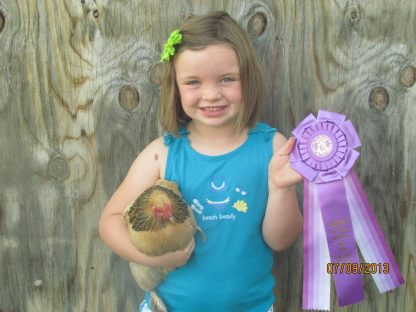 We just wanted to thank cackle hatchery for the great quality chicks. A picture is enclosed of Gracie Gilby with her 2013 Laclede County Fair grand champion Bantam Buff Brahma hen which was purchased from Cackle Hatchery®. Thanks Julie Gilby