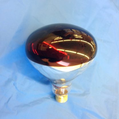 Heat Lamp Red Bulb