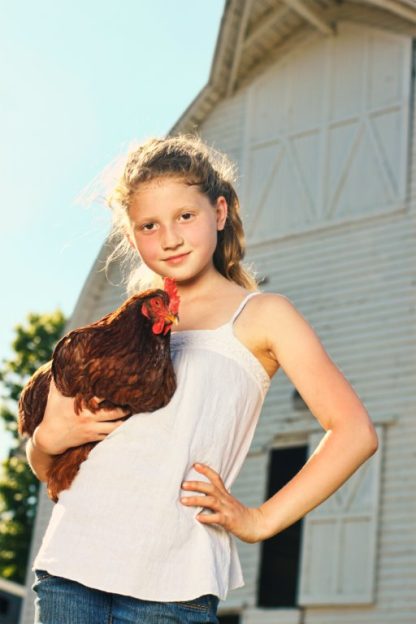 Cherry Egger chicken with girl