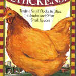 Keep Chickens! Tending Small Flocks in Cities, Suburbs, and Other Small Spaces by Barbara Kilarski